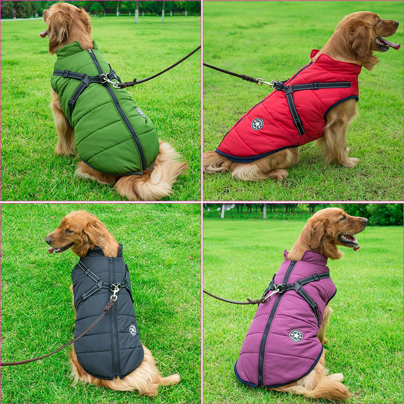Waterproof Dog Jacket with Harness | Pawfect4Pets