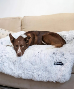 Anti Anxiety / Calming Dog Sofa Bed